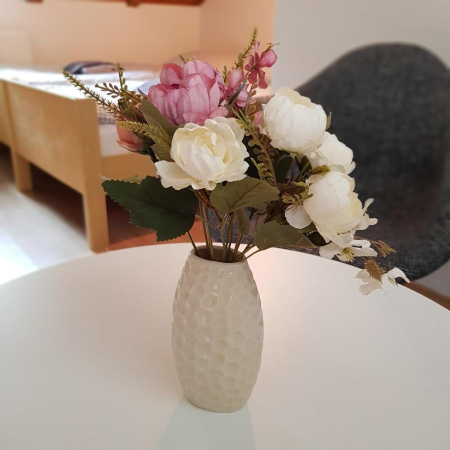 Studio Apartman Ivana 亚伊采 外观 照片