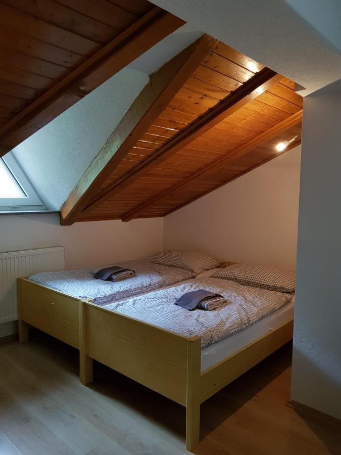 Studio Apartman Ivana 亚伊采 外观 照片